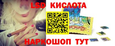 гидропоника Пугачёв