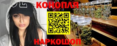 гидропоника Пугачёв