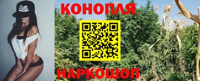 крисы Пушкино