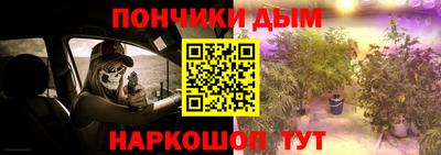 гидропоника Пугачёв