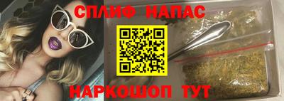 гидропоника Пугачёв