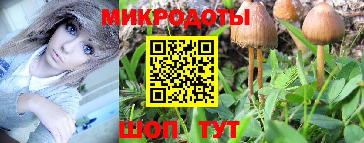 Галлюциногенные грибы MAGIC MUSHROOMS  Псилоцибиновые грибы прущие грибы  Семёнов  Вход с VPN 